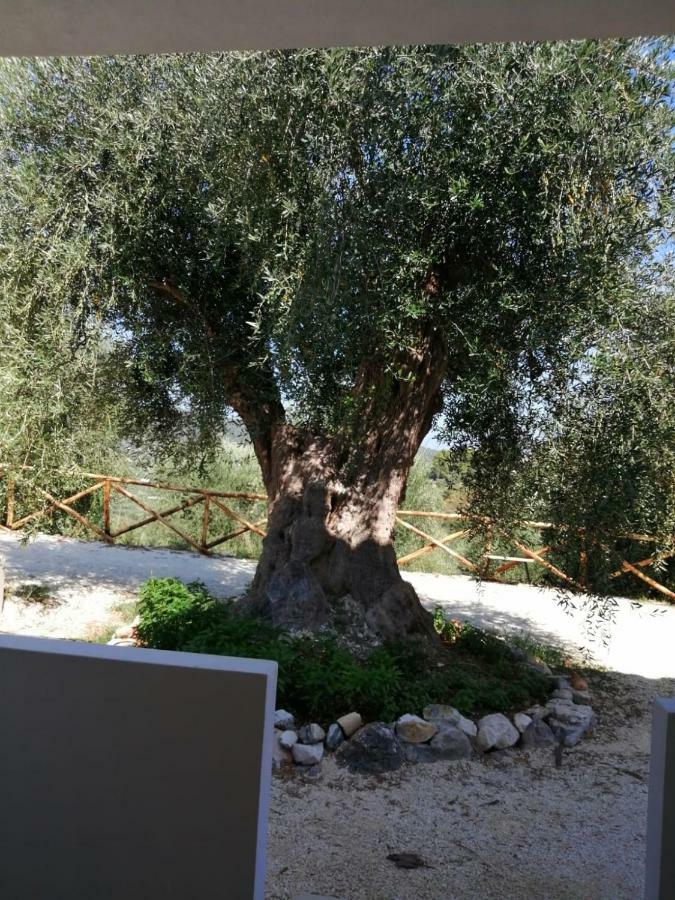 Casa de Férias Pozzo Dei Desideri *